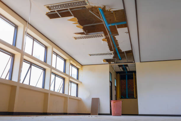 Best Ceiling water damage repair  in Flowood, MS