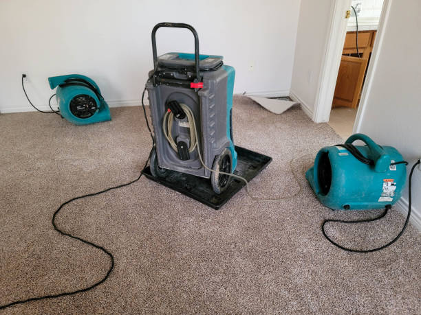 Best Mold removal after water damage  in Flowood, MS