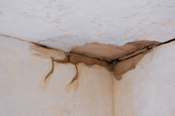 Best Local water damage restoration  in Flowood, MS
