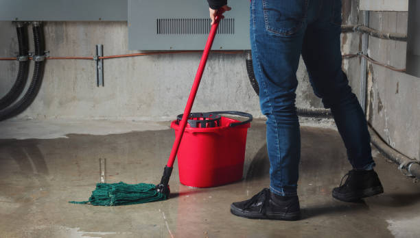Best Water damage restoration near me  in Flowood, MS