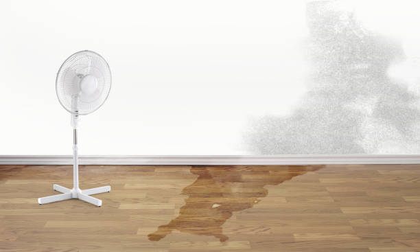 Best Flood damage cleanup  in Flowood, MS
