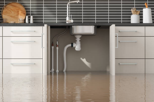 Best Water damage repair service  in Flowood, MS