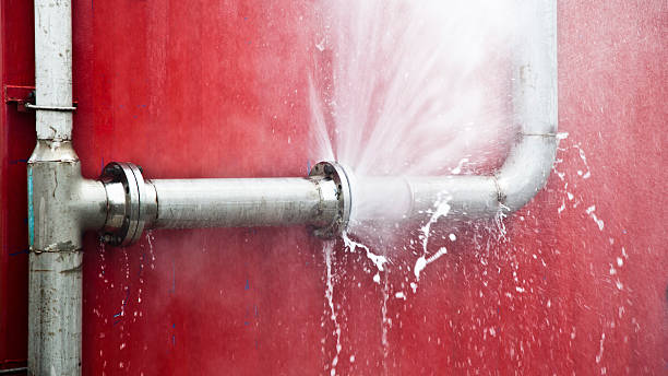 Best Flooded house restoration  in Flowood, MS